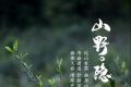 荣瑞祥：幽居山野的“隐士茶”！甘甜入喉，幽香久存，厚滑有味