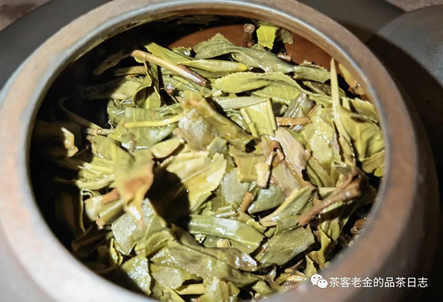 吾茶共饮2021年霜溪梅影普洱茶