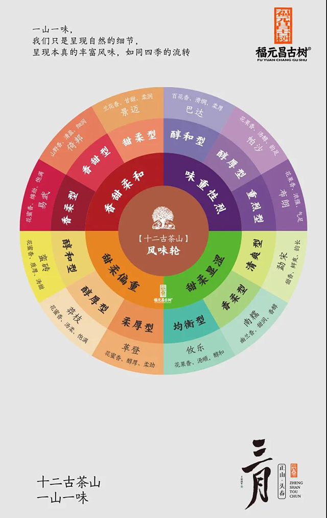 福元昌古树2022三月系列