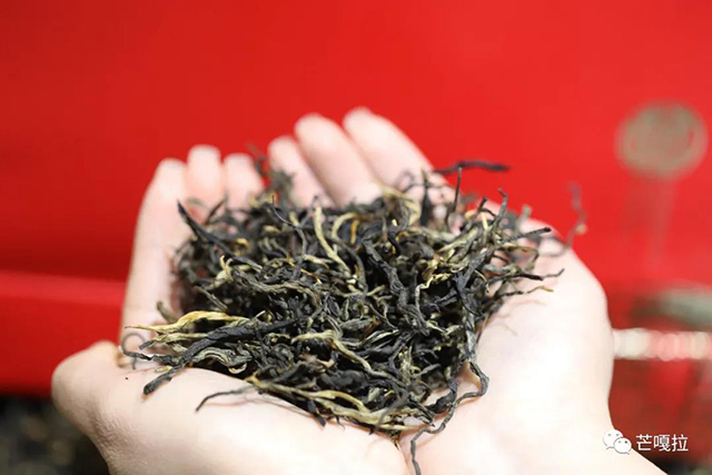芒嘎拉帕沙古树红茶