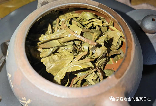 苦行茶僧2021年笑我疯颠普洱茶