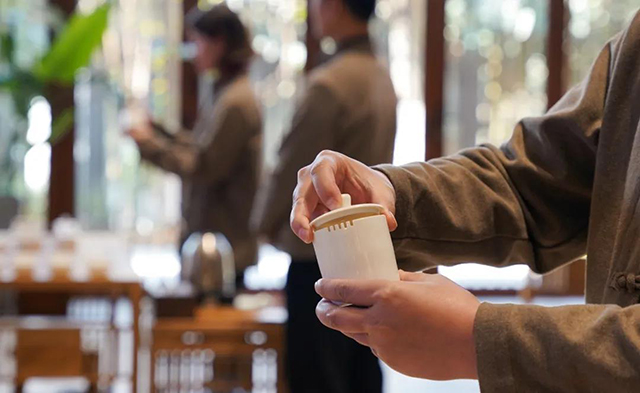 海湾茶业元宵品鉴会