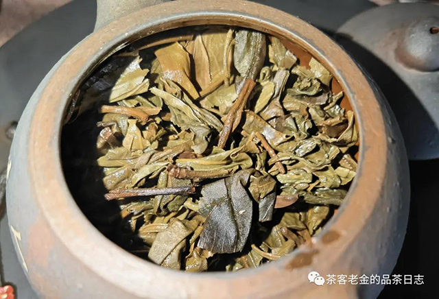 大黑树林头春普洱茶
