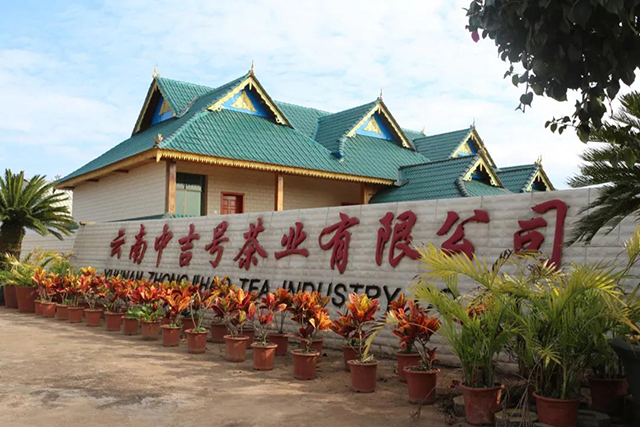 中吉号位于云南勐海的现代化工厂