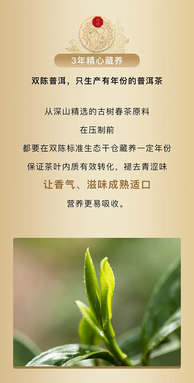 双陈啸迎山君生茶