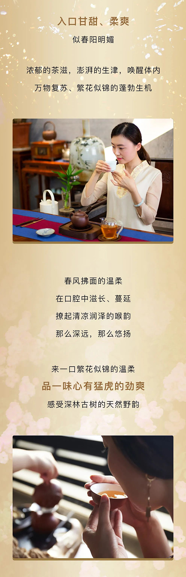双陈啸迎山君生茶