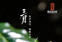 福元昌古树【三月系列】100克生饼【小微产区】正式开启预售