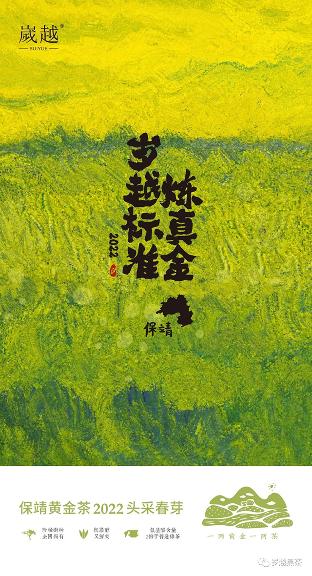 岁越黑茶2022年保靖黄金茶