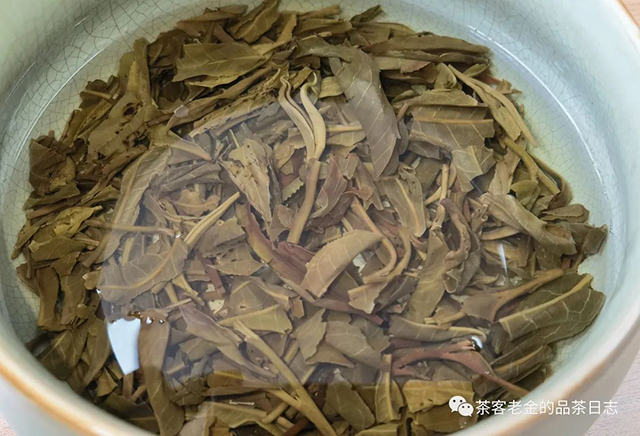 2021年勐海春茶普洱茶