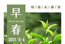 彩农茶·碧玉：2022明前早春特级滇绿，抢鲜品鉴，开始预订