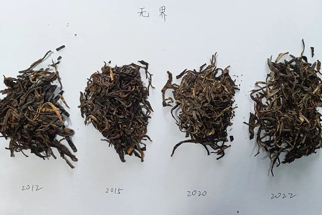 巅茶2022年无界普洱茶