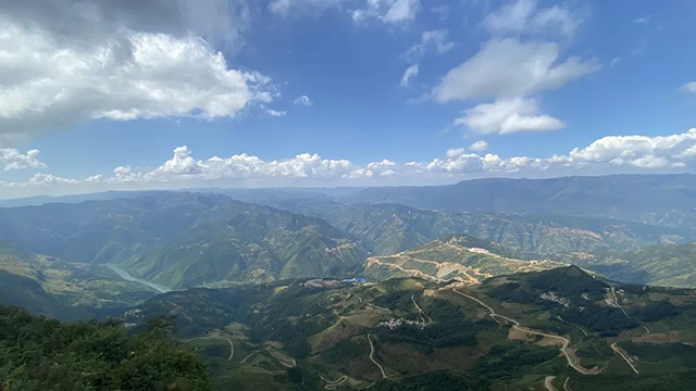 云柯庄园普洱茶