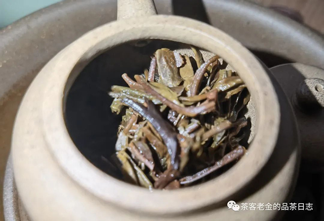 苦行茶僧2019年易藏普洱茶