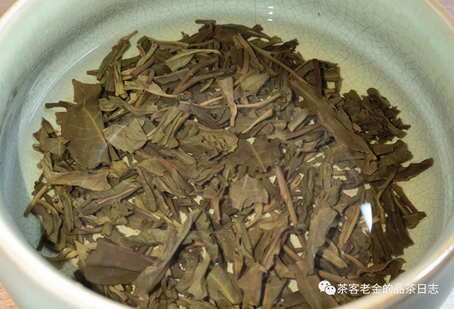 苦行茶僧2019年武藏普洱茶