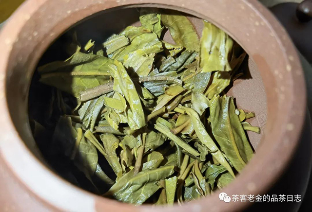 苦行茶僧2021年荼普洱茶