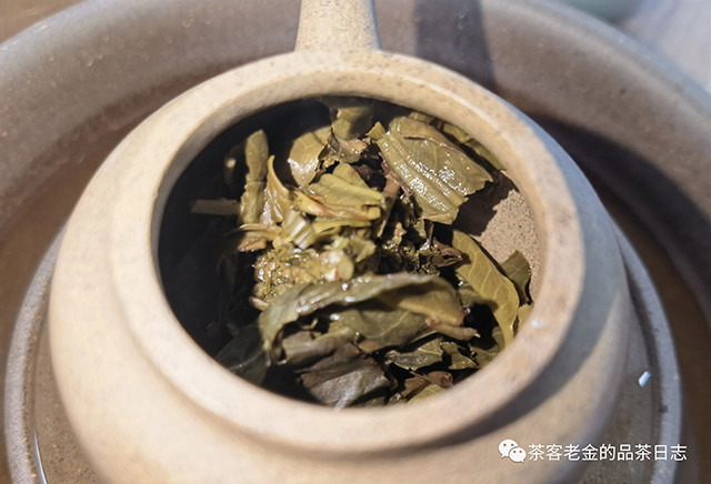 苦行茶僧易武刮风寨普洱茶