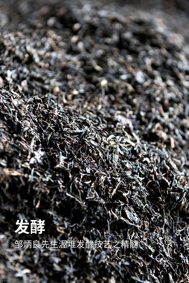 老同志9978饼茶普洱茶