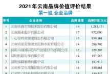 云南首份企业品牌价值榜单揭晓，六大茶山以5.09亿元品牌价值荣登榜单