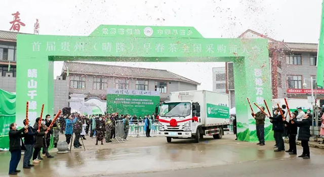 满载晴隆早春茶的货车分别驶向北京上海济南等全国市场