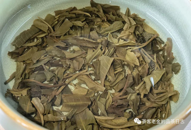 斗记2020年痴斗普洱茶