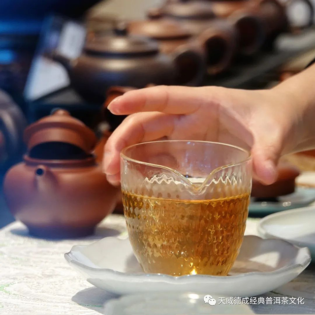 2022年天威德成无茶尝鲜茶会