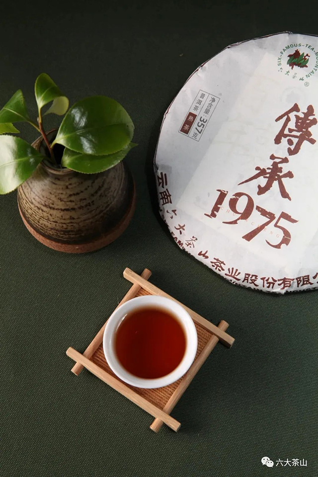 六大茶山普洱茶品牌
