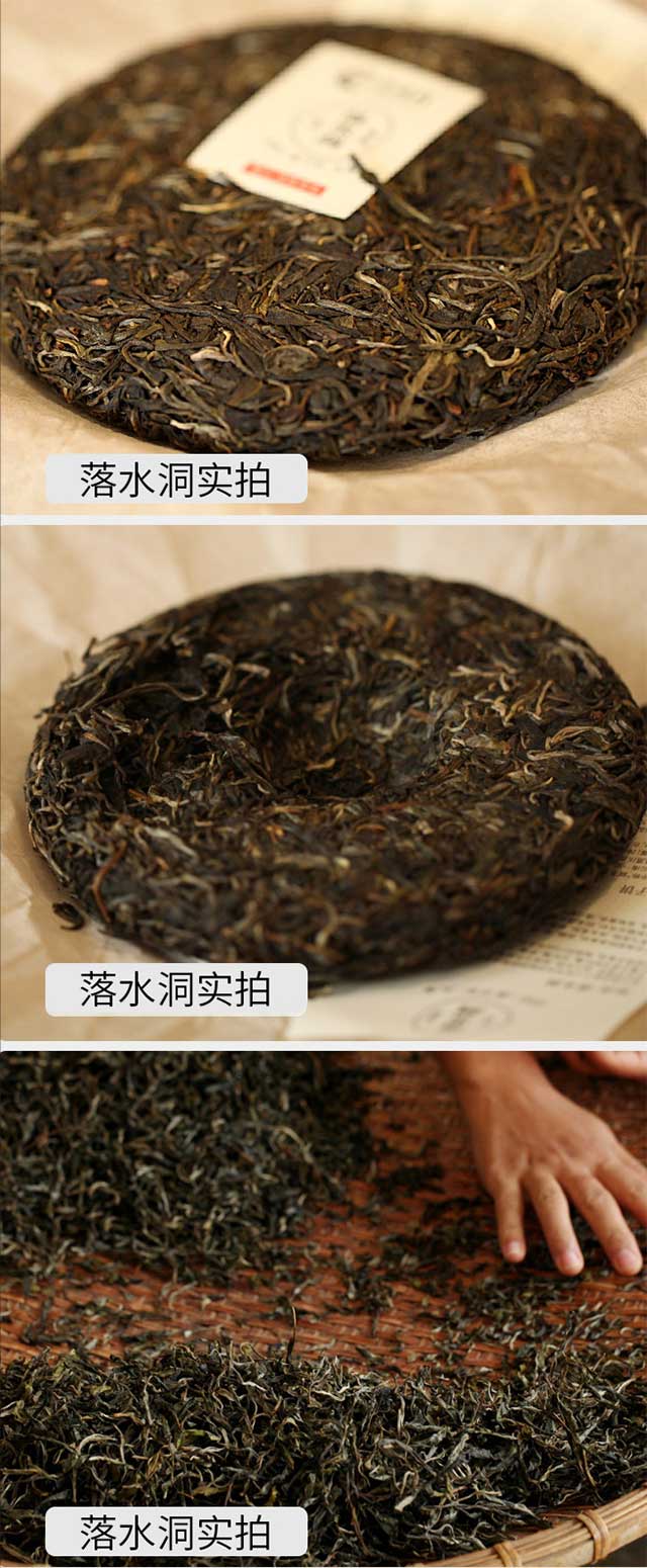 荣瑞祥2022年易武落水洞古树春茶