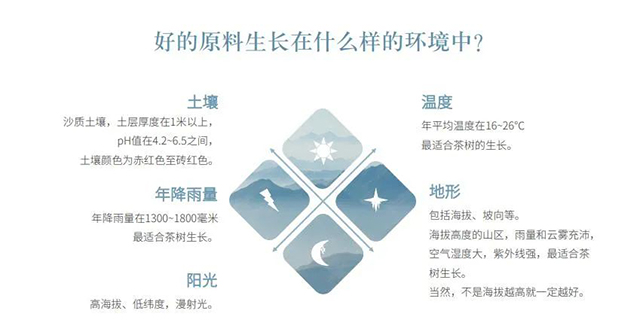 守兴昌陈晓雷普洱茶经验之谈