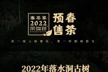 荣瑞祥茶业：6点带你快速喝懂易武落水洞！山野花蜜香，余味绕喉