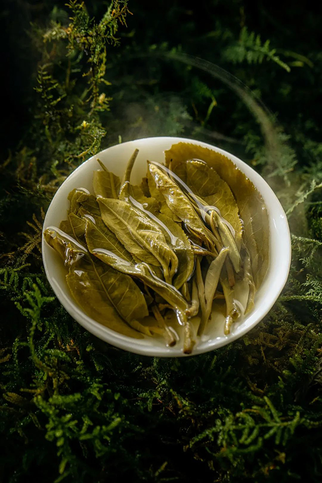 中茶虎年生肖普洱茶生茶紧压茶