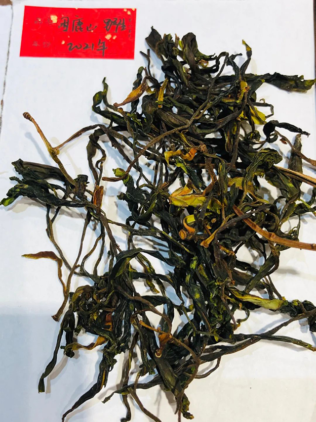 冰岛班章困鹿山名山普洱茶体验茶会