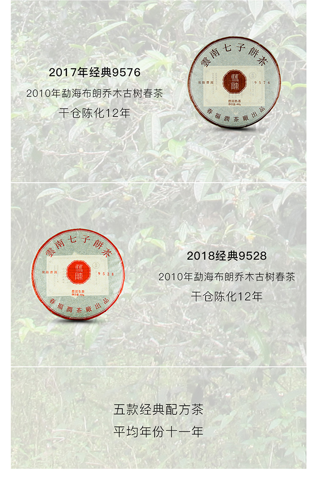 双陈五福经典款普洱茶