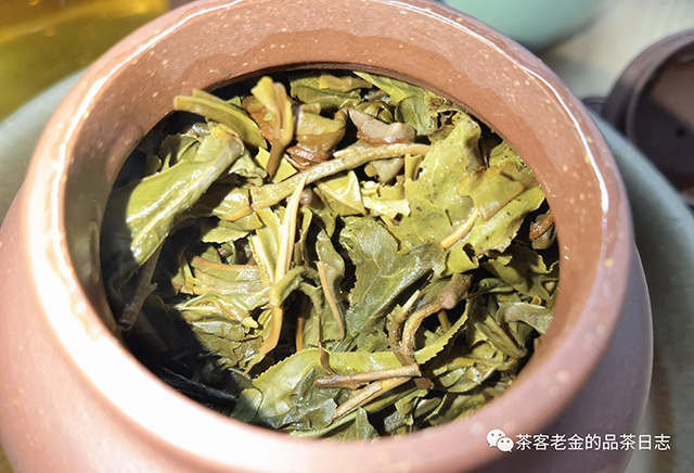 三域古茶2021年小户赛秋茶普洱茶