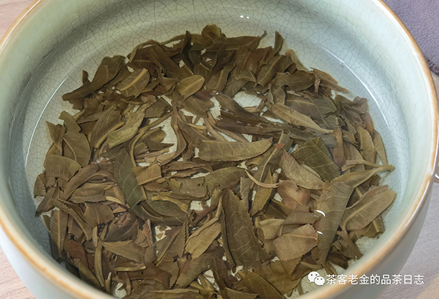 苦行茶僧2021年南糯山拔玛普洱茶