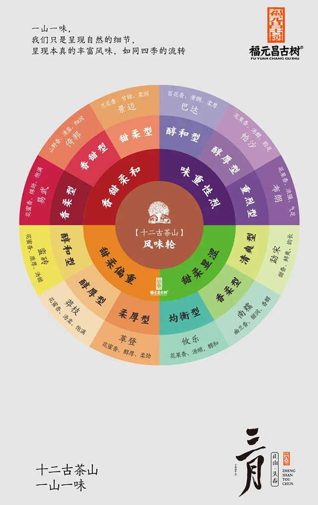 福元昌古树2022年三月系列普洱茶产品