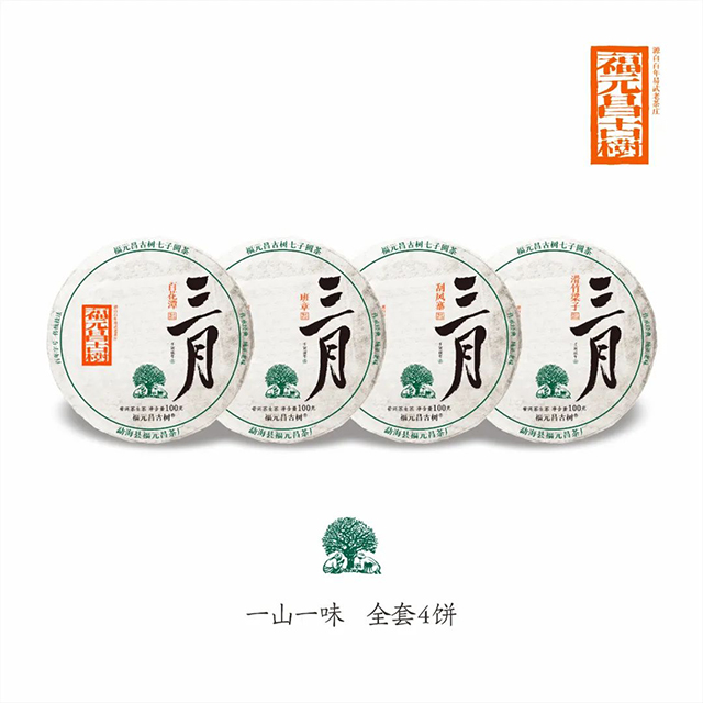 福元昌古树2022年三月系列普洱茶产品