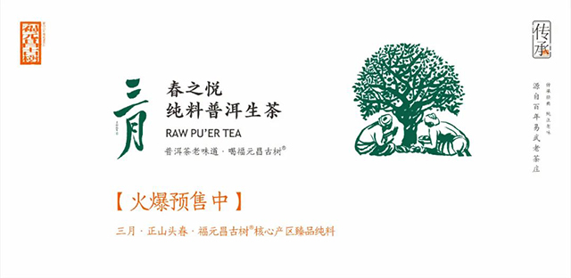 福元昌古树2022年三月系列普洱茶产品