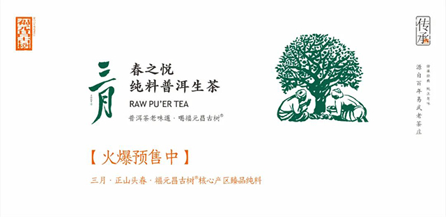 福元昌古树2022年三月系列普洱茶产品