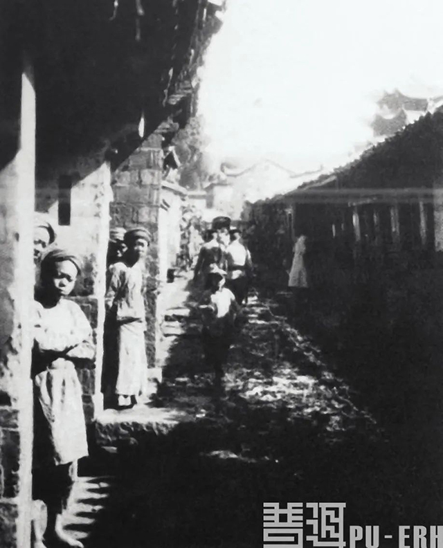 普洱杂志