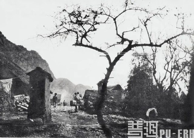 普洱杂志