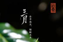 春茶预存：福元昌古树【三月系列】全系列预售中抢头波赠送福利