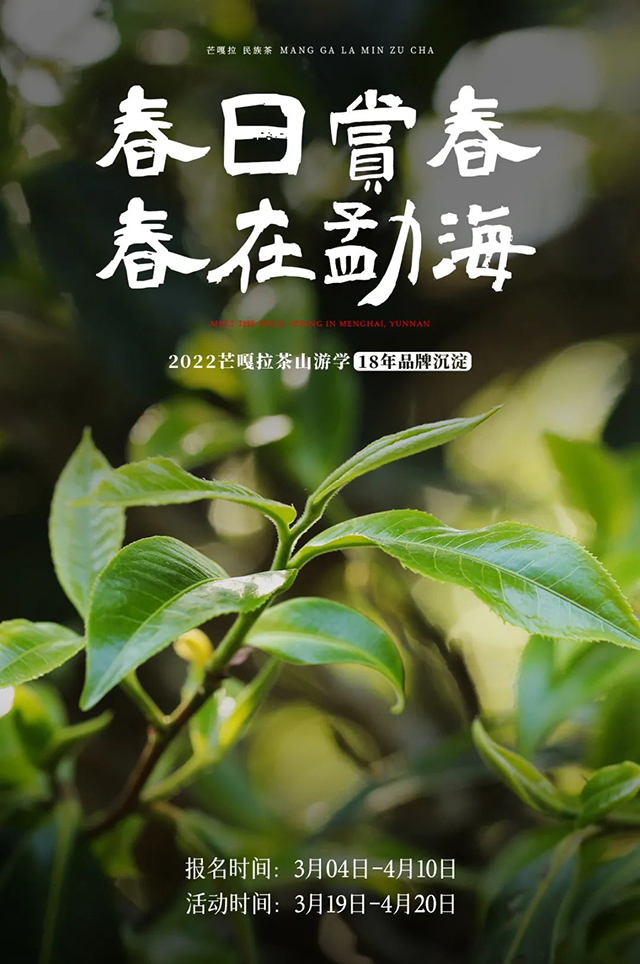 2022年芒嘎拉茶山游学