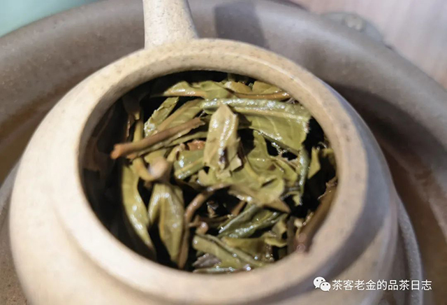 无事茶堂2021年茶王树秋茶