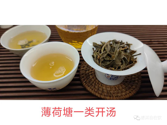 易武薄荷塘普洱茶