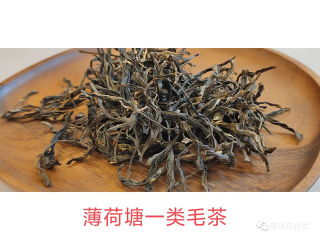 薄荷塘普洱茶产地