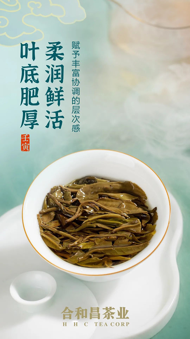 合和昌瑞虎启元虎饼普洱茶