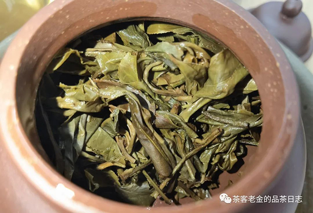 老爷说不将就易武普洱茶