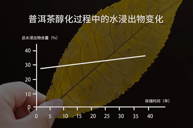 津乔普洱茶