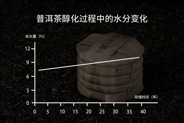 津乔普洱茶