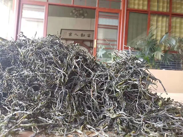 临沧古树人家邦麓茶业绿水塘普洱茶